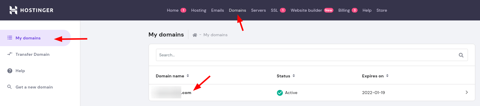 Menu domain Hostinger